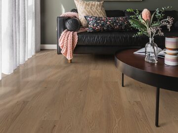 San Marino Elm