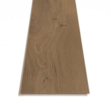 San Marino Elm