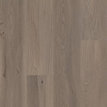 London Elm