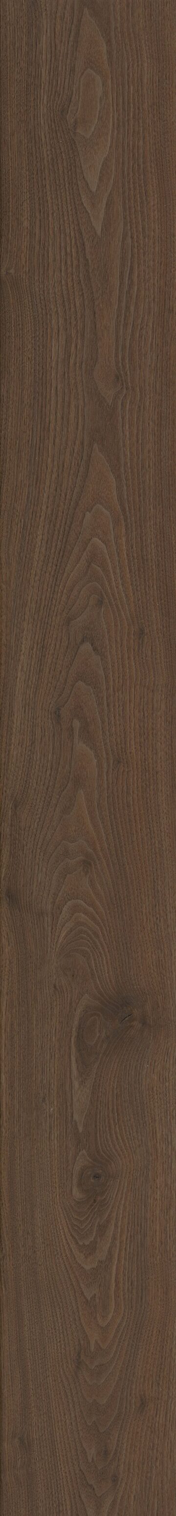 Tyro Walnut