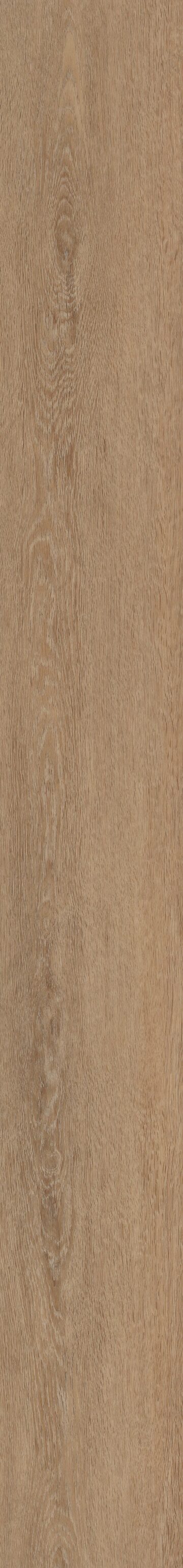 Zawn Oak