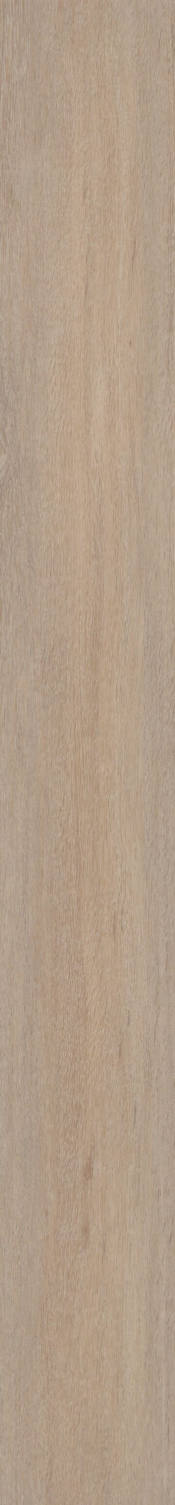 Bosc Oak