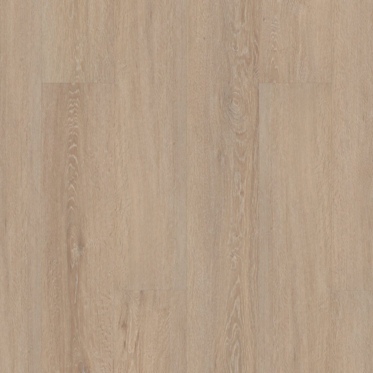 Bosc Oak