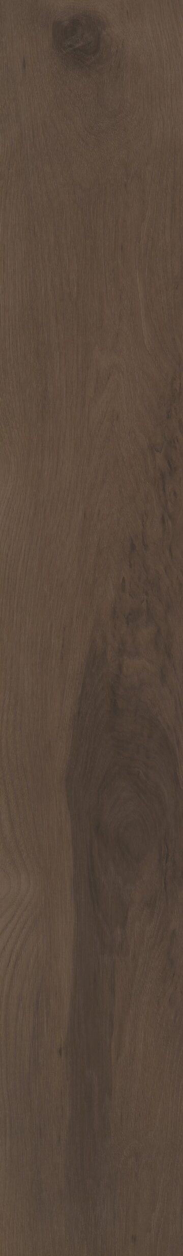 Blended Umber