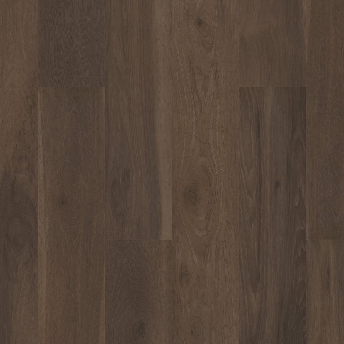 Blended Umber