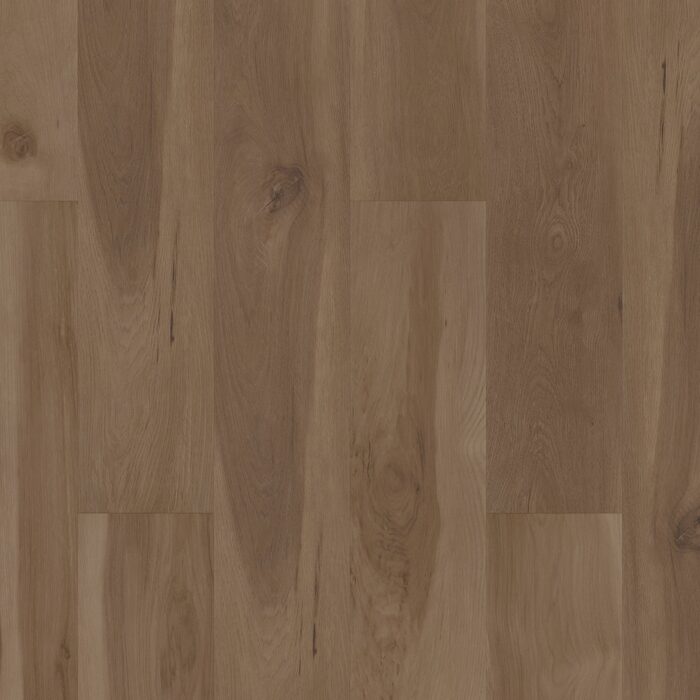 Blended Caraway