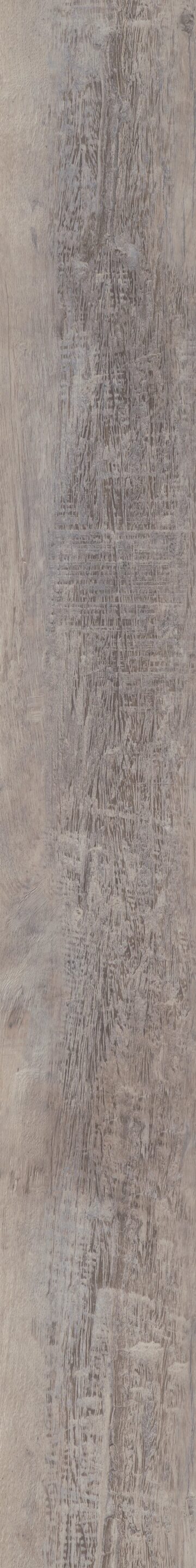 Caspian Oak