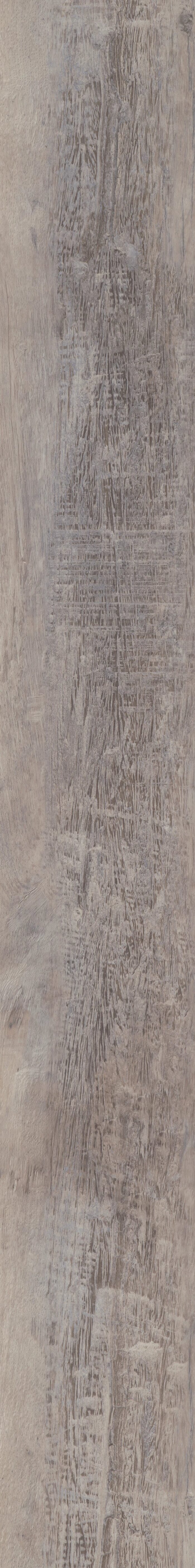 Caspian Oak