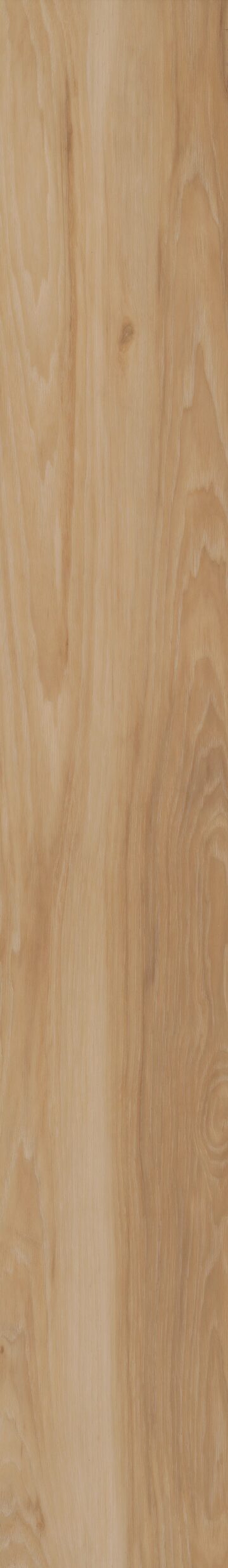 Blended Praline