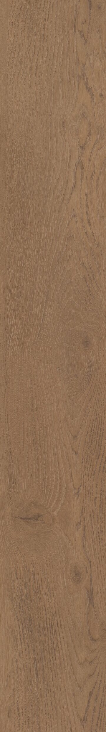 Fairhaven Oak