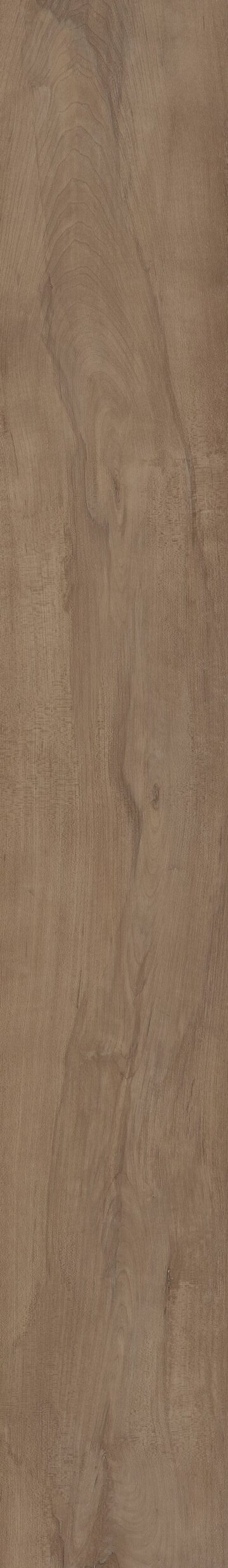 Warwick Maple