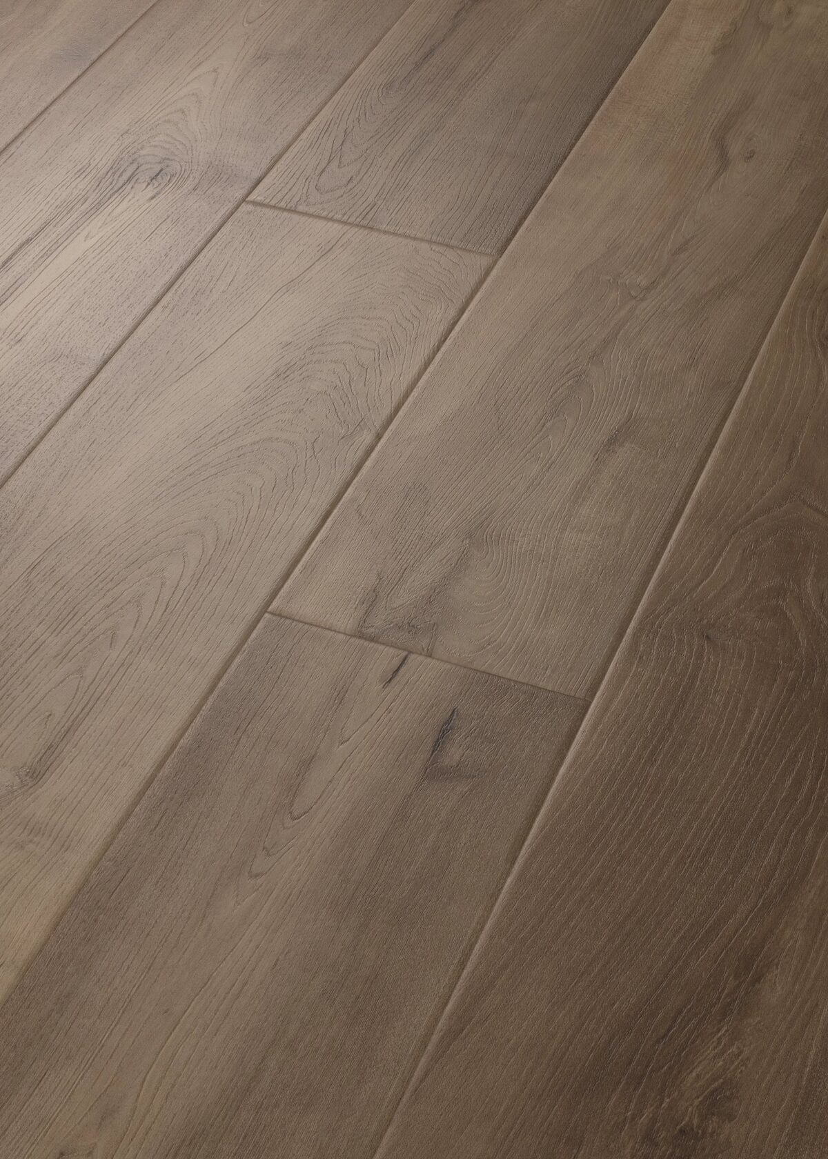 Warwick Maple
