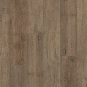Warwick Maple