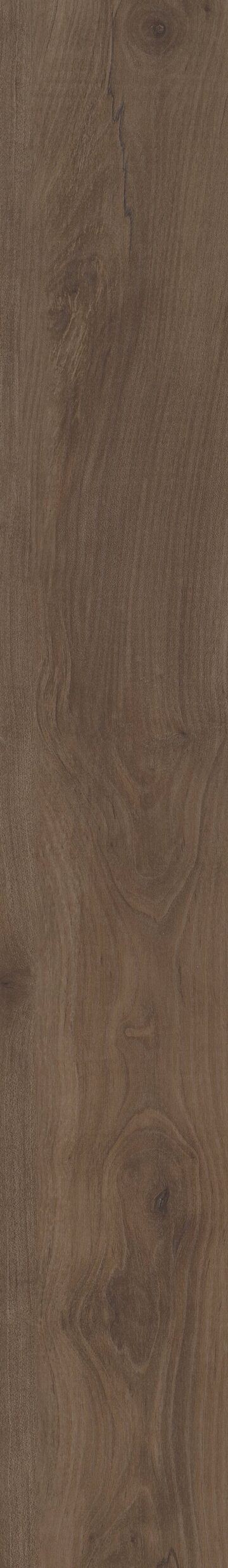 Stonehaven Maple