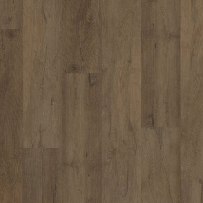 Stonehaven Maple