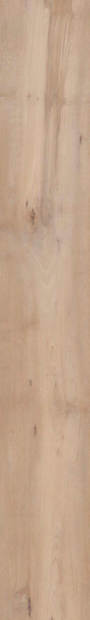 Brookfield Maple