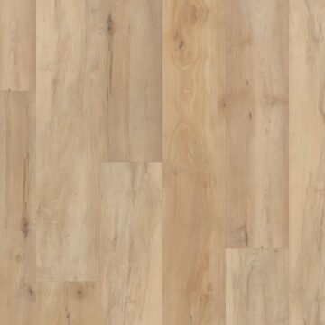 Brookfield Maple