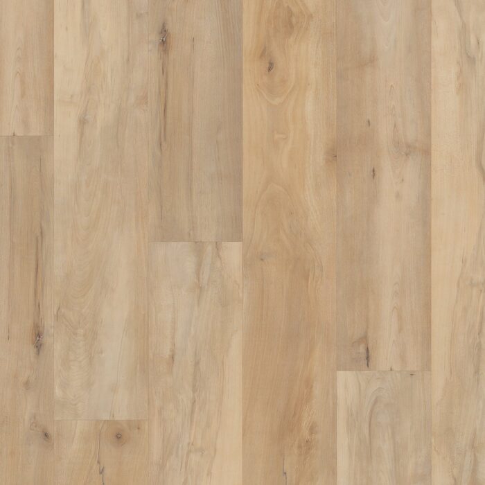 Brookfield Maple
