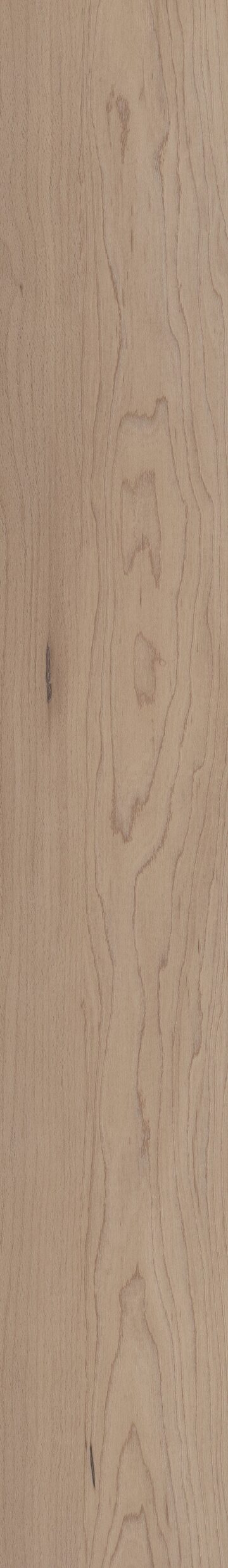 Hatfield Maple