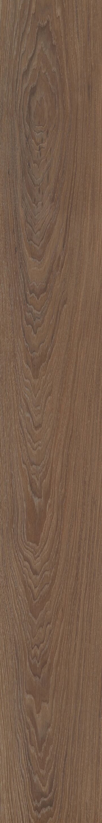Irvine Chestnut
