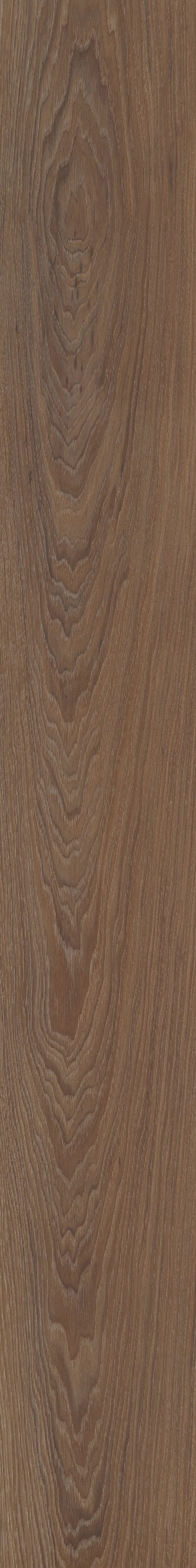 Irvine Chestnut