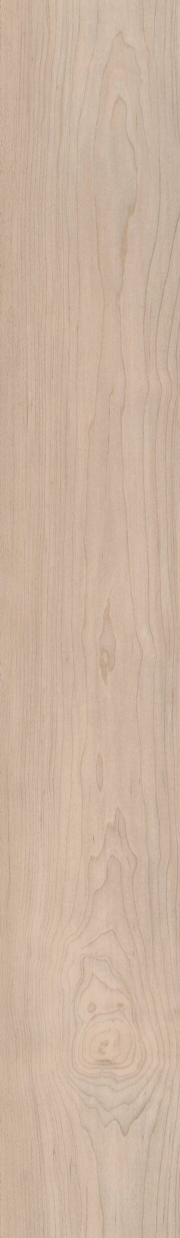 Norfolk Maple