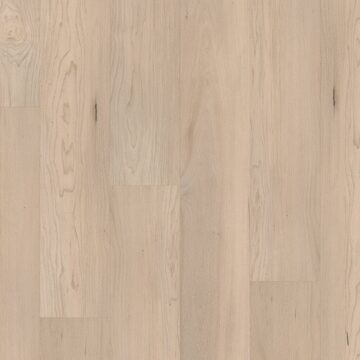 Norfolk Maple