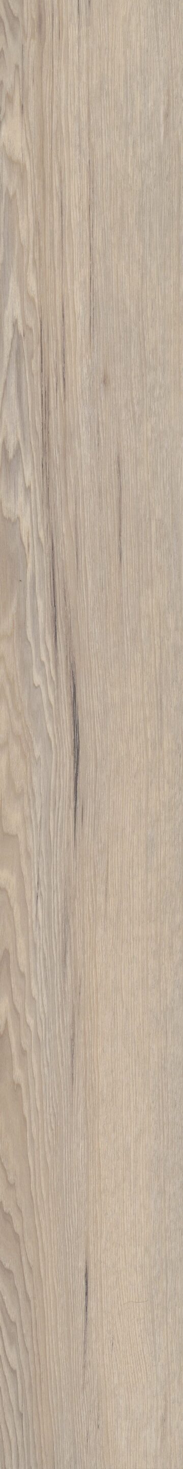 Venture Chestnut
