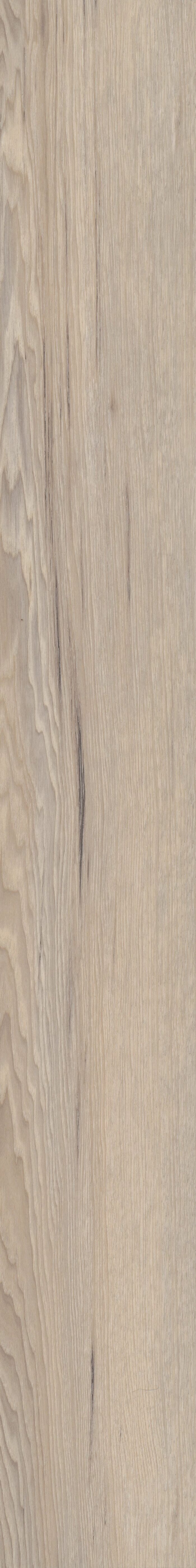 Venture Chestnut