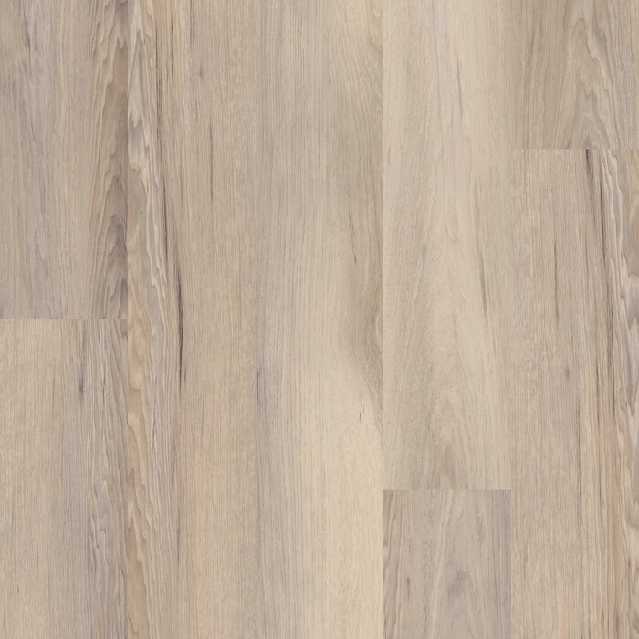 Venture Chestnut