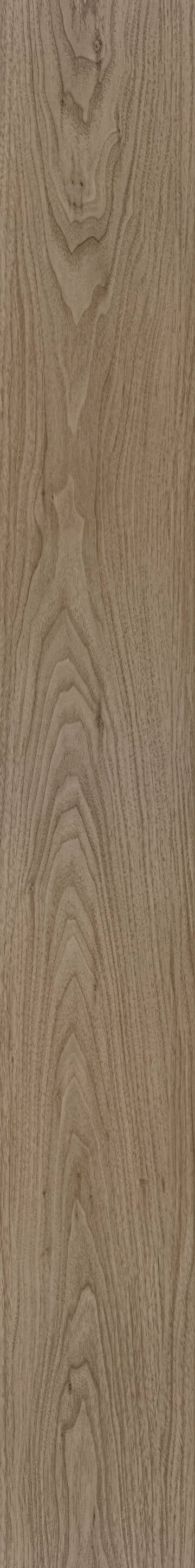 Cardington Walnut