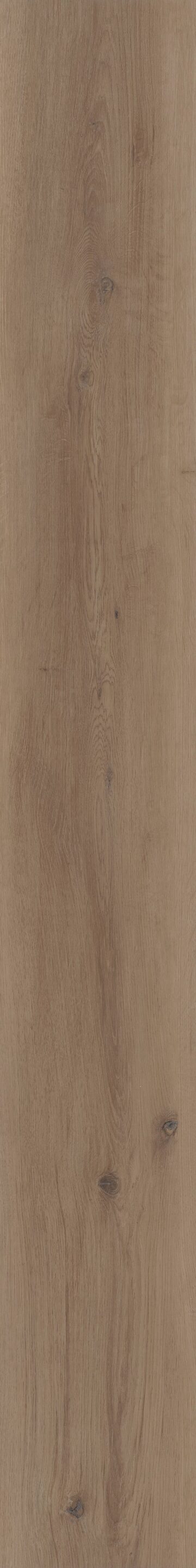 Parchment Oak