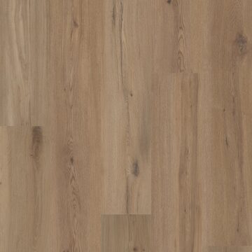 Parchment Oak