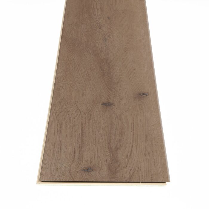 Parchment Oak