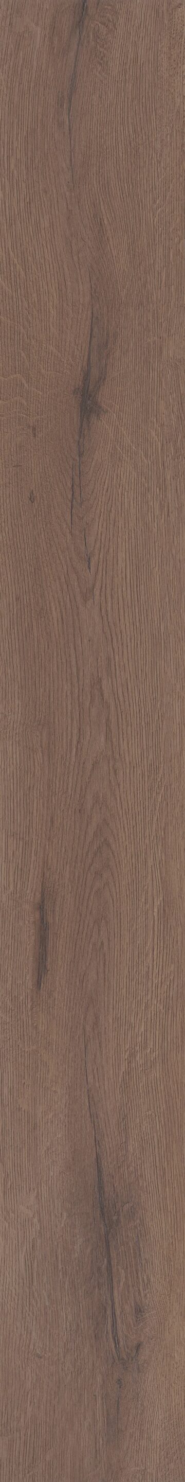 Cerith Oak