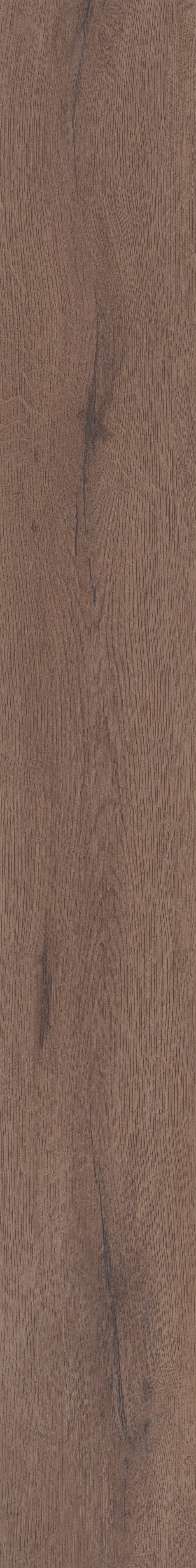 Cerith Oak