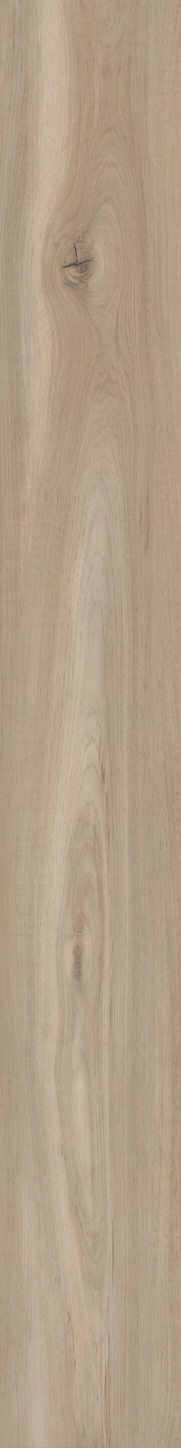 Sea Salt Oak
