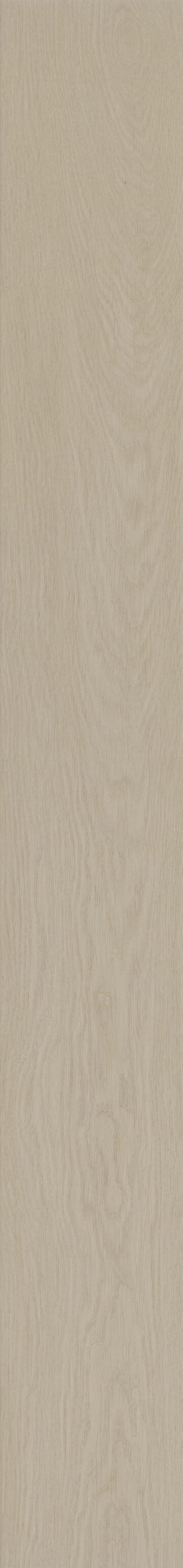Delicate Oak