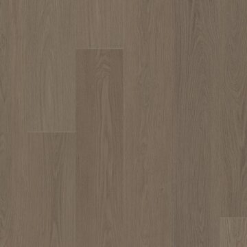 Meditative Oak