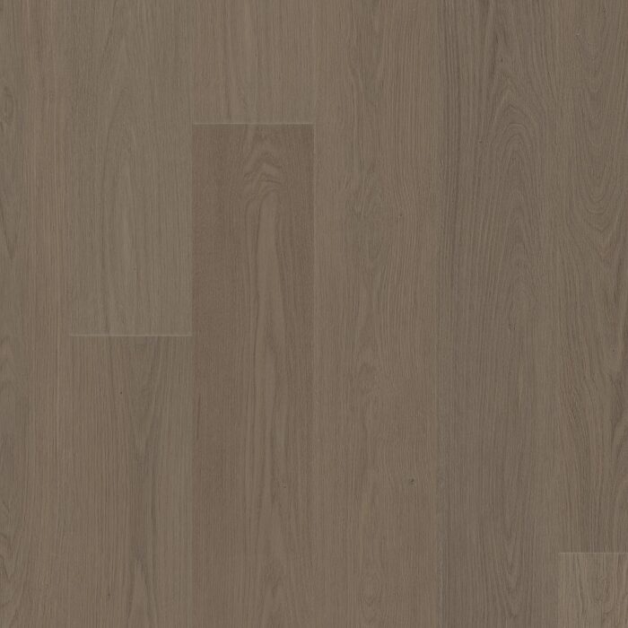 Meditative Oak