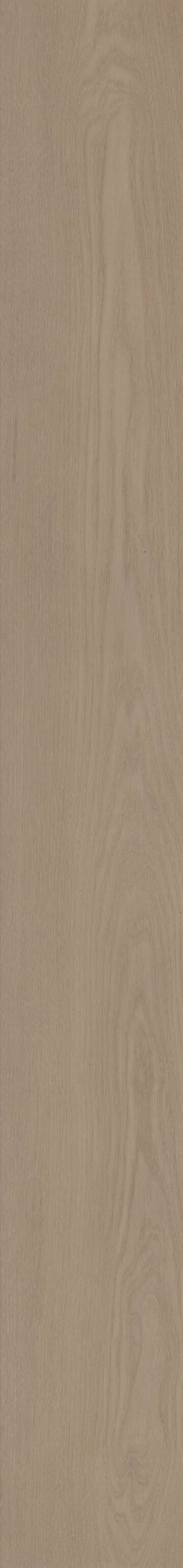 Tranquil Oak