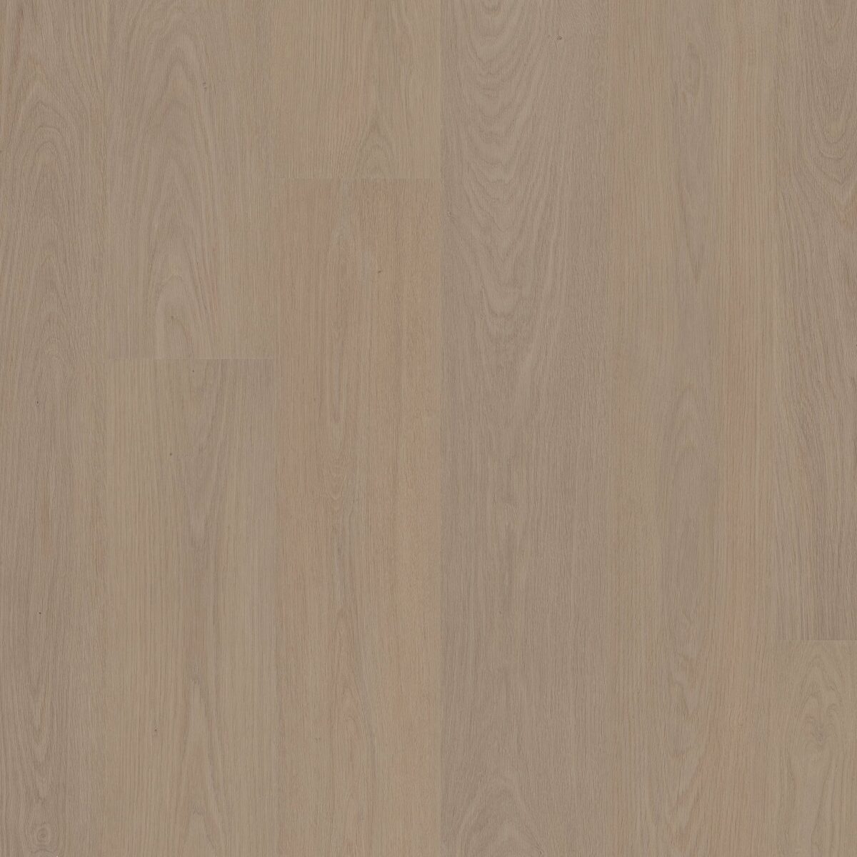 Tranquil Oak
