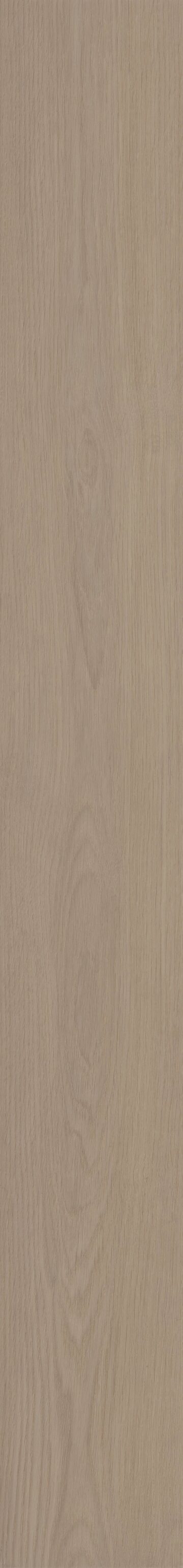 Balanced Oak