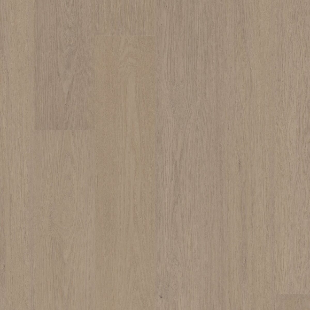 Balanced Oak