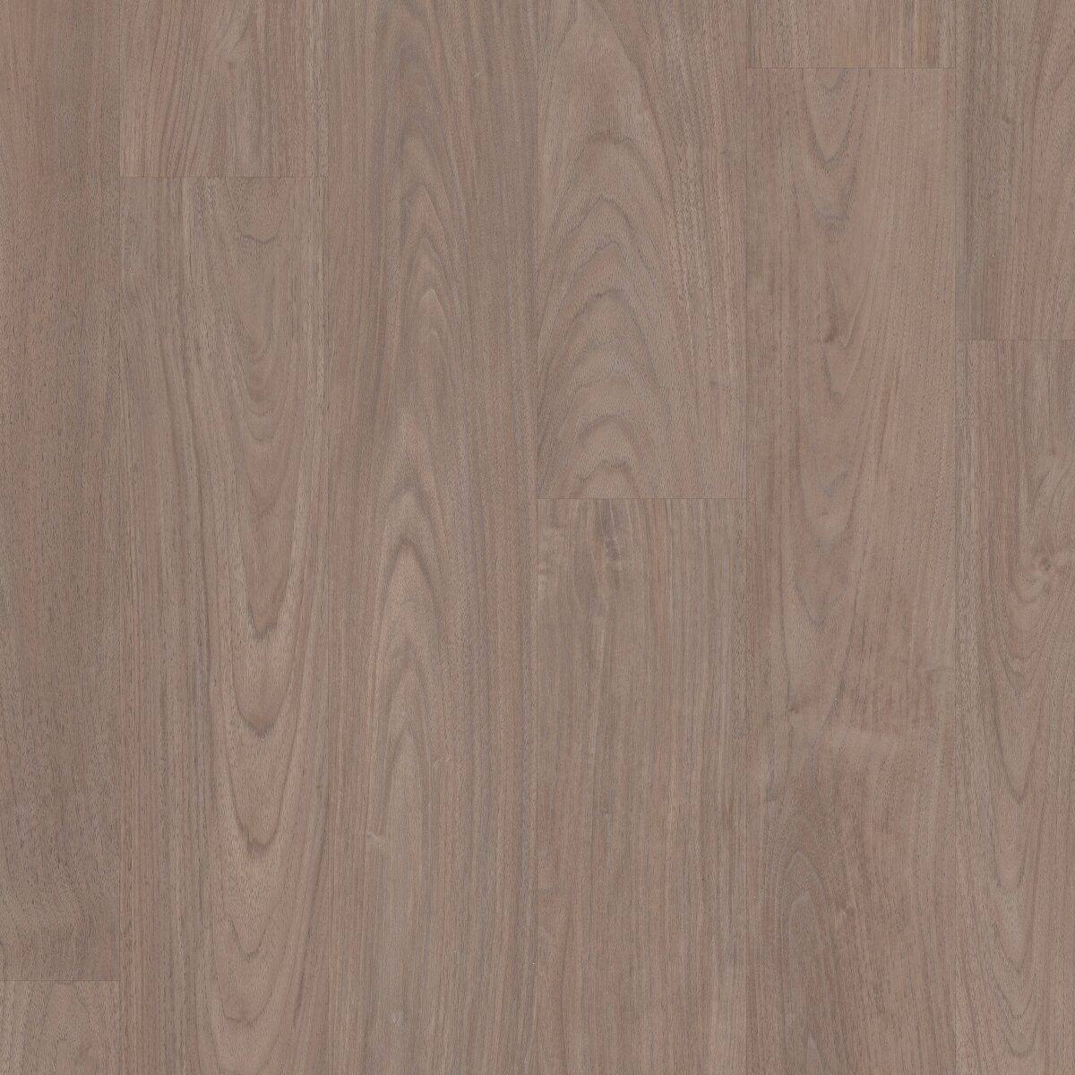 Feather Walnut