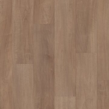 Tawny Beech