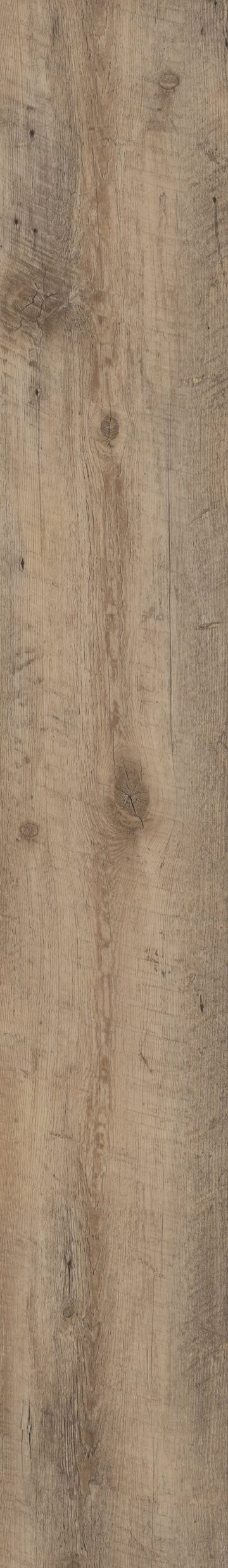Nares Oak
