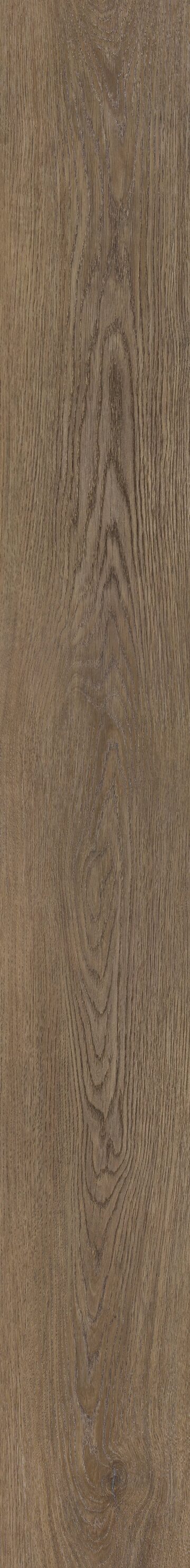 Mustang Oak