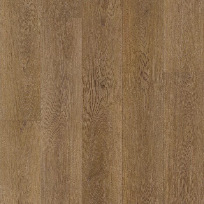 Saddle Oak