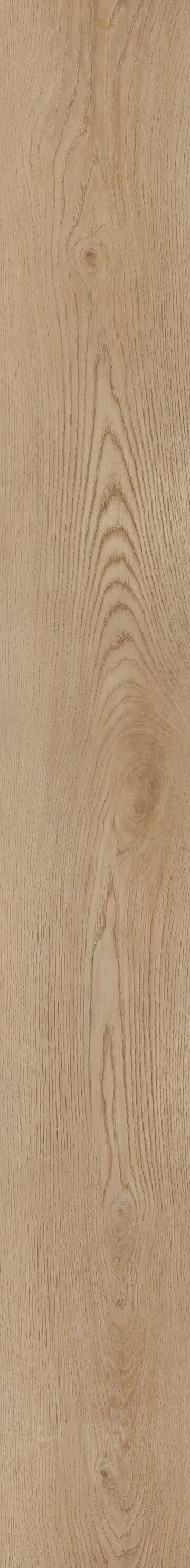 Warm Sand Oak